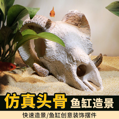 鱼缸仿真恐龙骨骷颅头骨鱼骨架