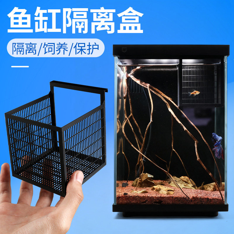 鱼苗隔离盒适配小米二代鱼缸孔雀鱼孵化幼鱼斗鱼盒产卵隔离盒小号