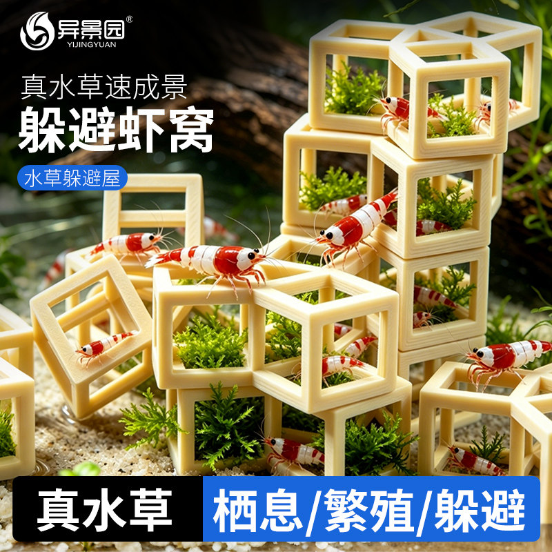 水晶虾3D躲避洞穴莫斯定植鱼虾产卵繁殖躲避水族虾窝鱼缸造景摆件
