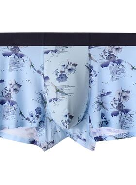 Underwear Shorts For Men Underpants Summer Boxer Brief Sexy