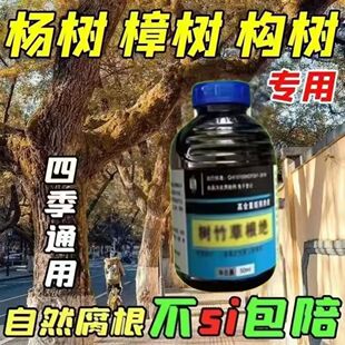 四季可用坏树让树竹草一用就到树当日枯树竹草根剂活树变枯树