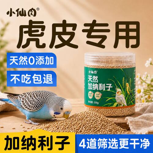 加纳利子虎皮鹦鹉专用4层筛选