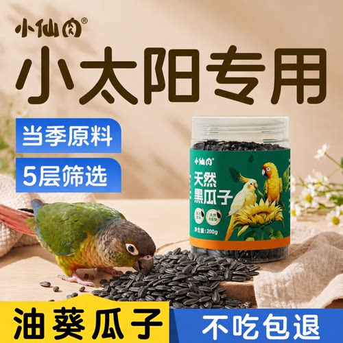 小太阳专用油葵瓜子5层筛选