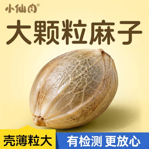 纸壳麻子鹦鹉专用大颗粒