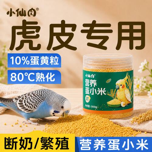 虎皮鹦鹉蛋小米熟化工艺更营养