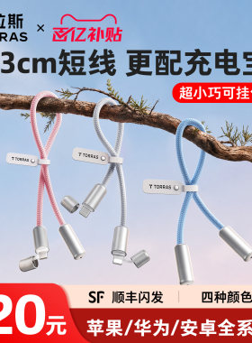 【小巧便携】图拉斯挂饰快充线
