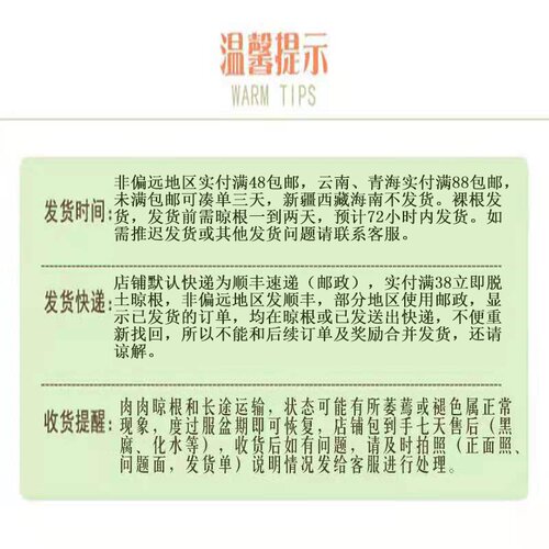 洛神花多价格 洛神花多图片 星期三