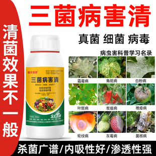 三菌病害清炭疽白粉灰霉霜霉叶斑黑斑病果蔬菜农作物通用杀菌剂