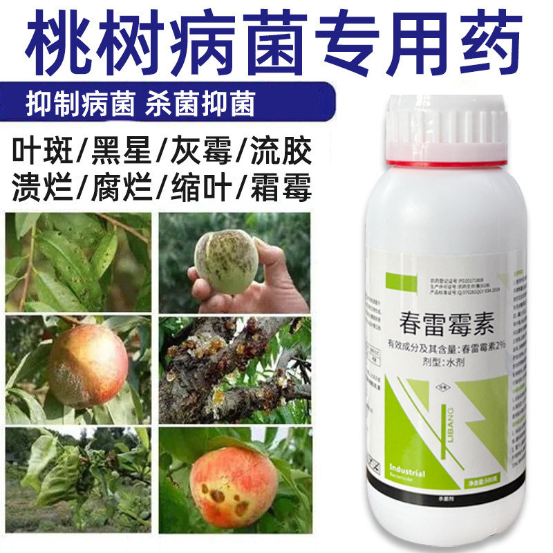 春雷霉素桃树流胶病缩叶疮痂病炭疽穿孔病褐斑病专用药桃树杀菌剂