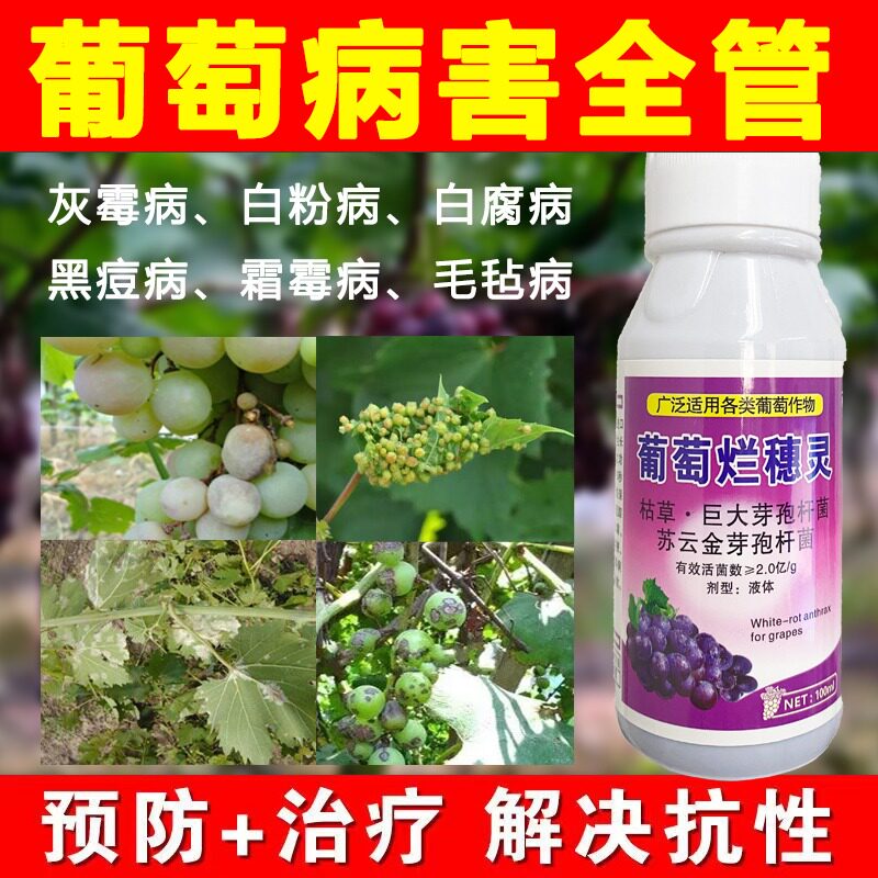 葡萄病用药葡萄烂穗灵霜霉病白粉病灰黑痘褐腐病炭疽病杀菌剂