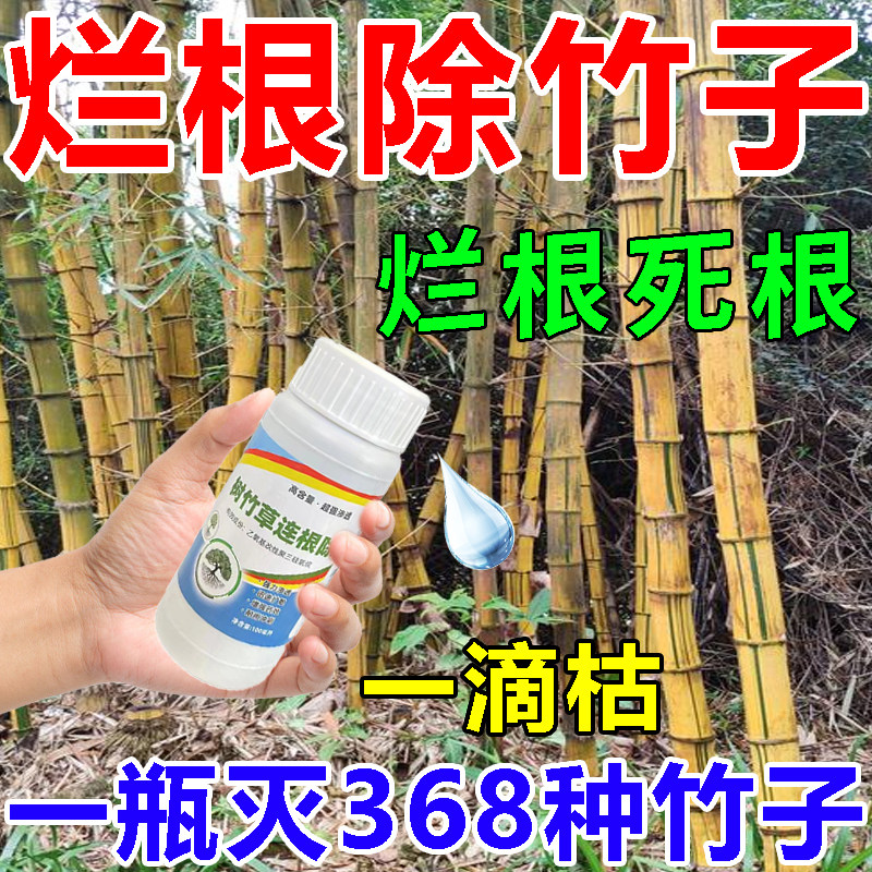 强力除竹子烂根药剂药粉去竹粉清家庭园艺肥料