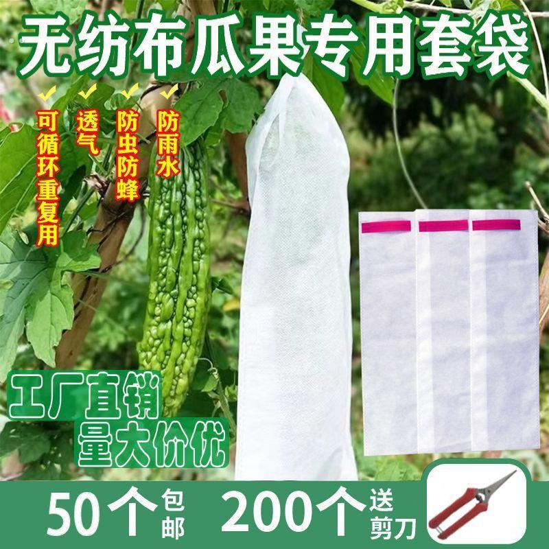 青瓜袋加密纱网袋黄瓜防虫套袋苦瓜丝瓜黄瓜果防鸟器罩透气束口袋