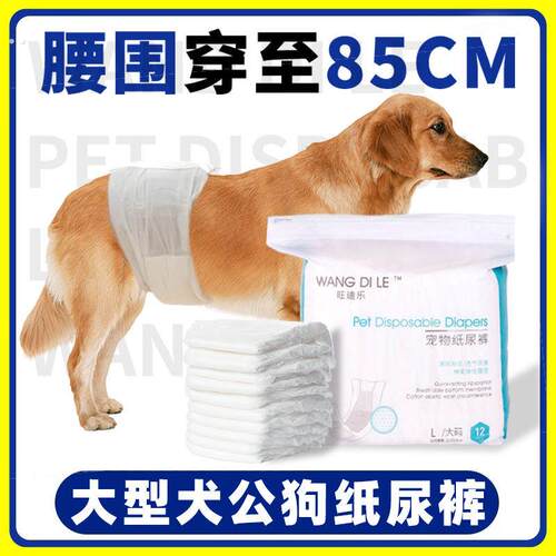 大型犬公狗专用纸尿裤宠物狗狗用的超薄男幼犬尿不湿垫生理裤老年