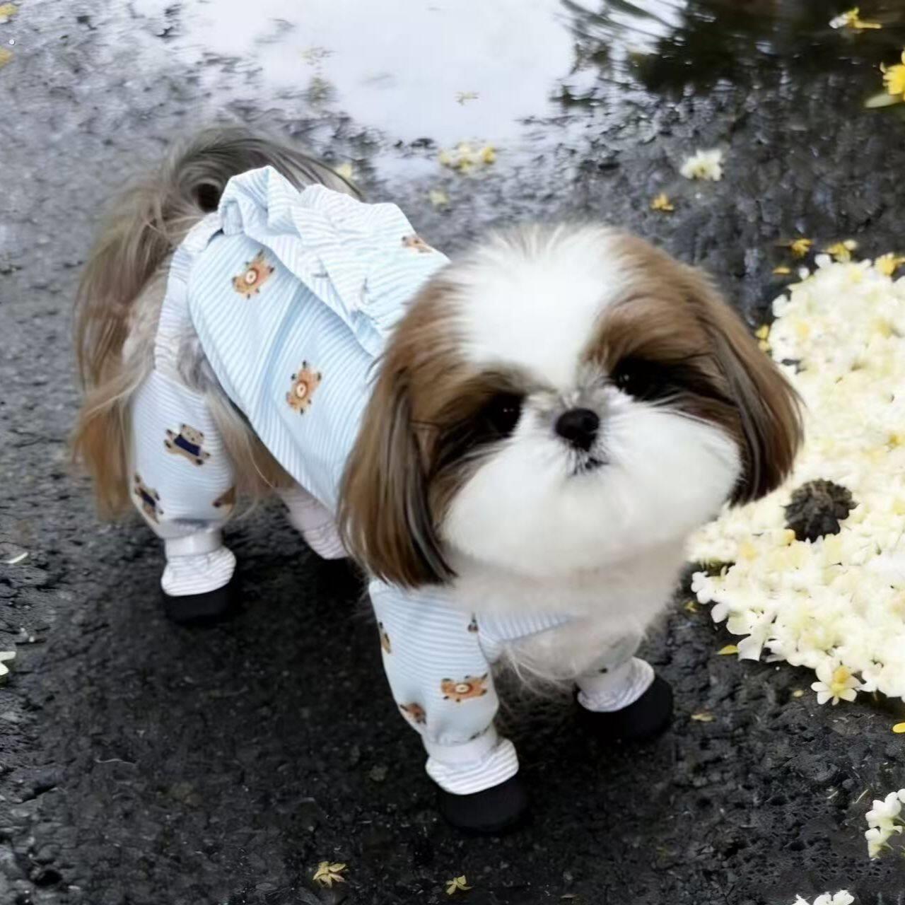 西施犬狗狗专用防尘裤约克夏防脏腿套四脚衣服防水外出遛狗神器