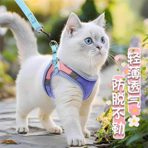 猫咪牵引绳溜猫绳猫背带背心式胸背防挣脱猫咪专用兔子狗狗外出用