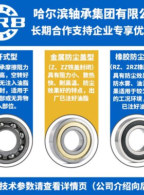 HRB 哈尔滨轴承6916 6917 6918 6919 6920 - 2 Z RZ
