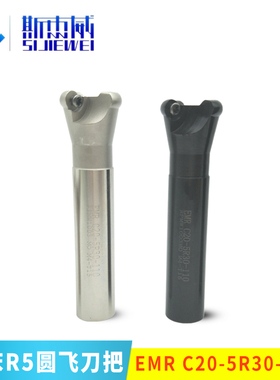 炮塔铣床白色加硬铣刀杆EMRC20-5R30-110-2TR5铣刀把 圆刀把1003
