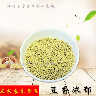 广东农家客家本地小黄豆 非转基因有机小粒土黄豆 打豆浆专用一斤