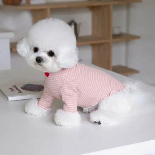 Puppy Christmas Dog Clothes Love Winter Love Embroidered Str