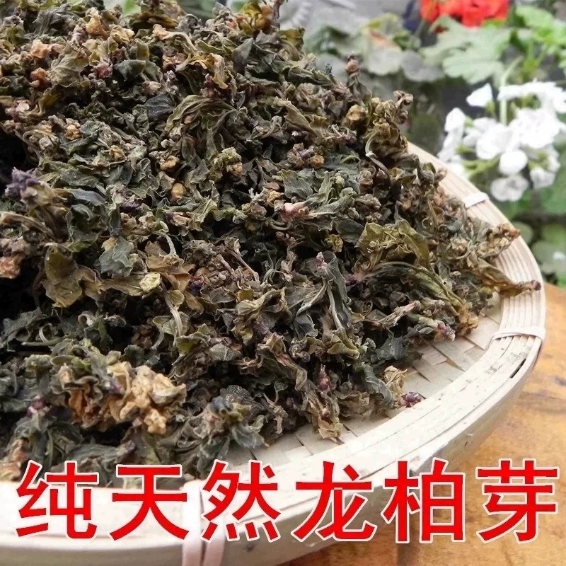 河南土特产龙柏芽干菜绿色山野菜农副产品山货将军菜花儿菜农村菜