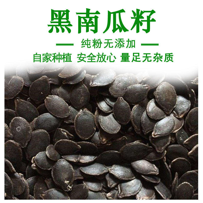 黑南瓜子籽500g 包邮  五谷杂粮 免洗  正