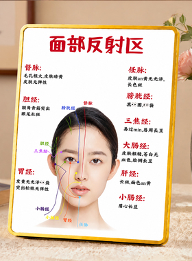 中医面部反射区知识展示摆台美容养生馆桌面装饰摆件