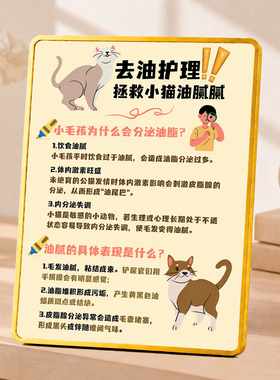 猫咪去油护理知识提示牌宠物店猫咖桌面装饰摆件