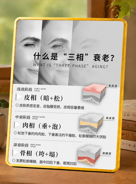 三相衰老科普展示摆件医美机构美容院前台桌面装饰摆台