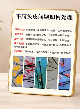 不同头皮问题处理展示牌养发馆理发店桌面装饰提示摆件