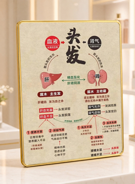 头发肝肾科普 美容院店内项目宣传桌面摆件