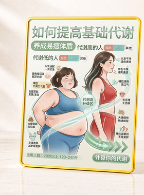如何提高基础代谢养成易瘦体质装饰摆台减肥减脂科普装饰摆件
