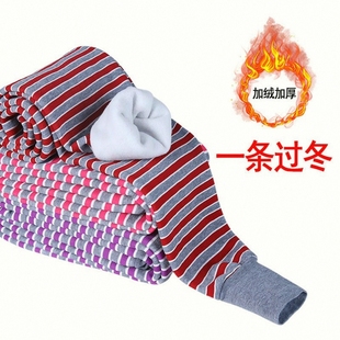 高弹棉保暖裤 加绒加厚热能裤 打底裤 内穿高腰秋裤 女士 毛裤 加肥棉裤