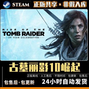 古墓丽影10崛起 中文版 全DLC PC电脑单机游戏 Steam