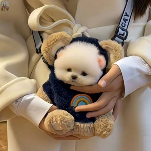 背包宠物外出包茶杯犬外狗狗便携小狗露头伸单肩挎包茶小型犬博美