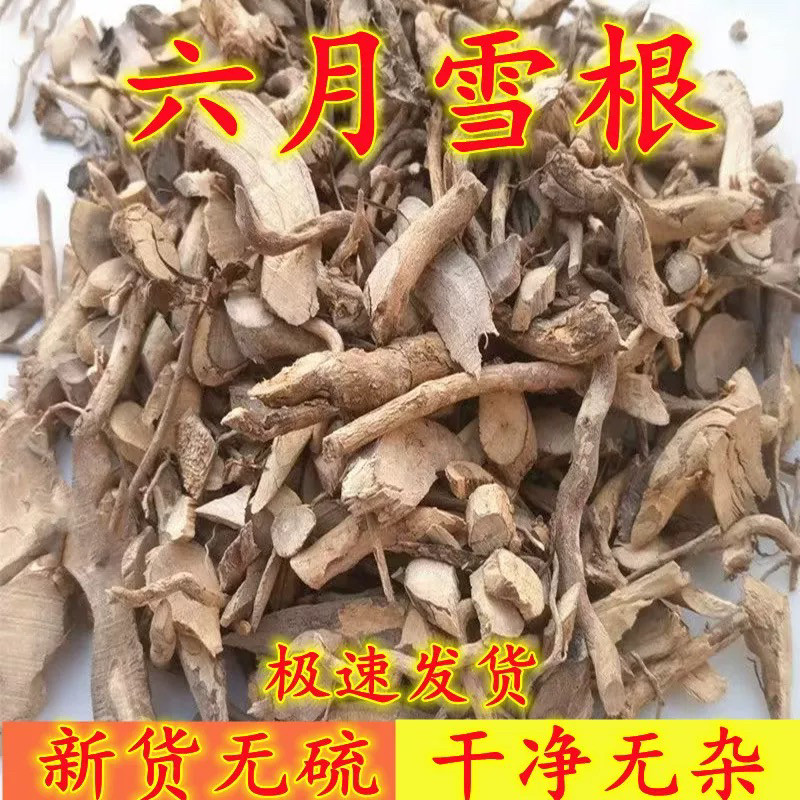 中药材白马骨根 六月雪根 纯根500克  质量保证