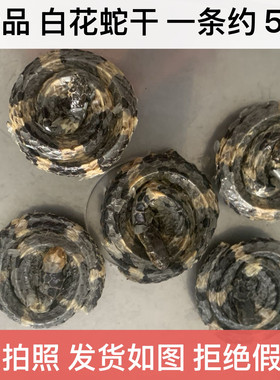 特级白花蛇金钱白花蛇中药材小百花蛇一条5克左右白花蛇干泡酒料