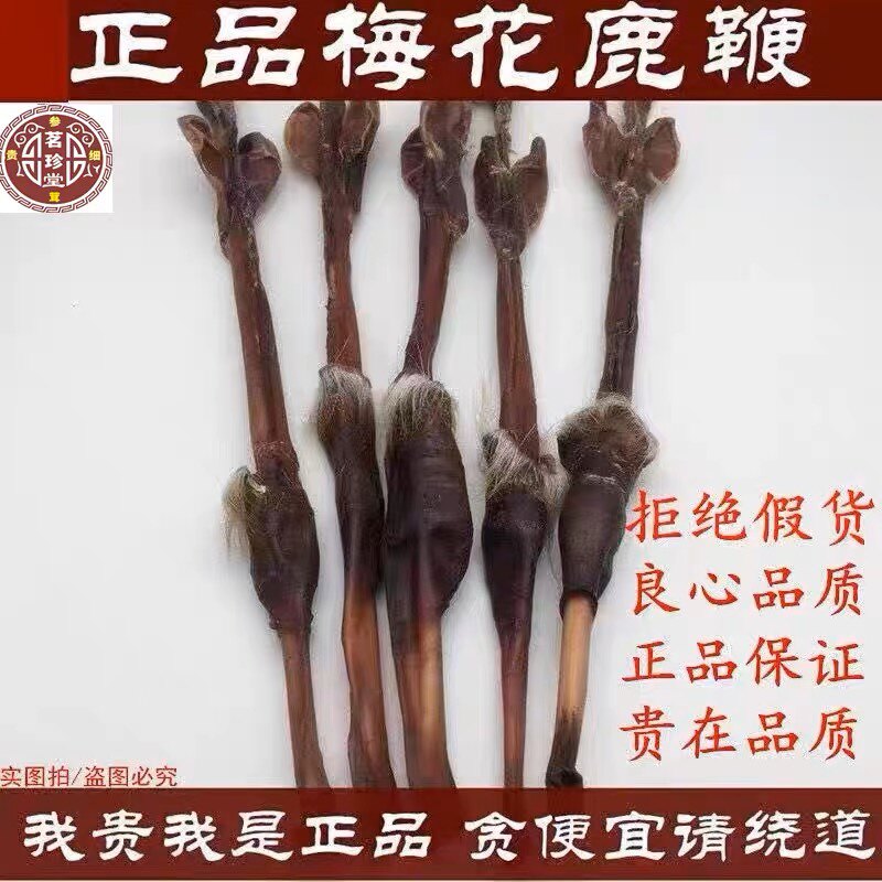 鹿鞭干整根一个正品男用吉林长春梅花鹿鞭整只东北鹿鞭片泡酒料