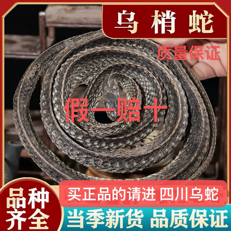 乌梢蛇中药材特级四川乌梢蛇中药乌蛇 酒乌梢蛇整条新