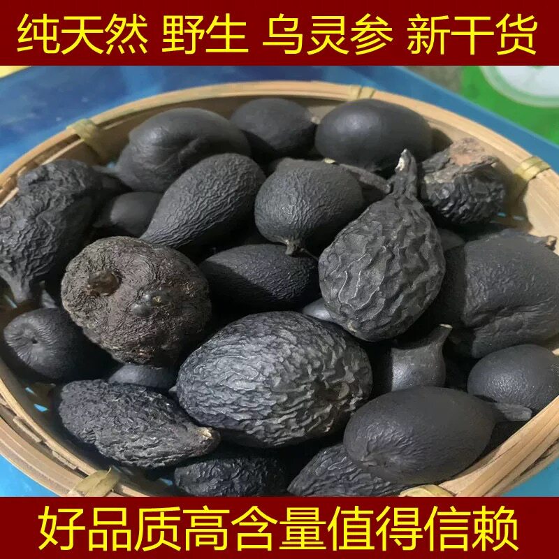 野生乌灵参中药材乌岺参干货雷震子鸡茯苓 鸡枞蛋 乌灵菌菌粉包邮