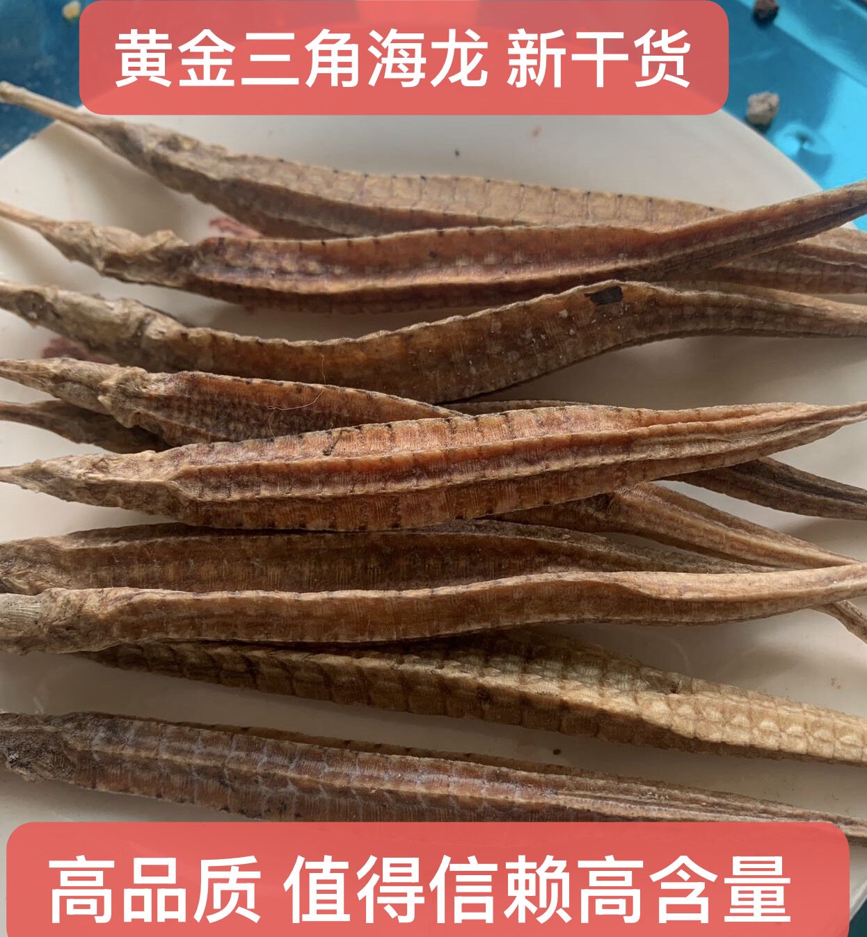 野生黄金海龙干货北海鱼船晒干大黄金海龙煲汤养生煲汤泡酒料药材