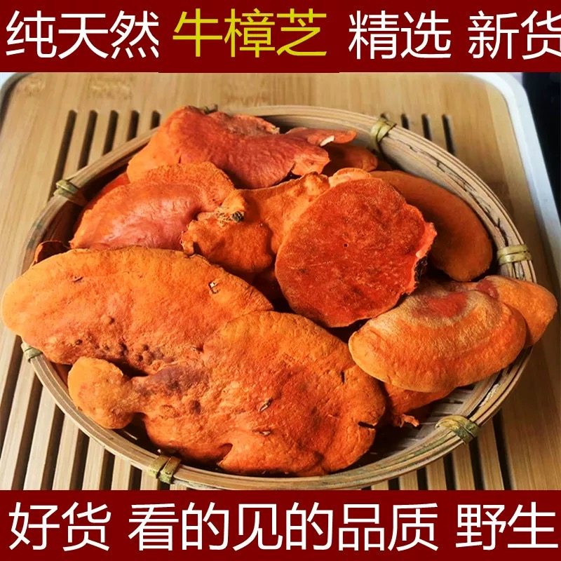 野生牛樟芝250克正宗台湾牛章芝红樟芝牛樟菇牛章菇红樟菇