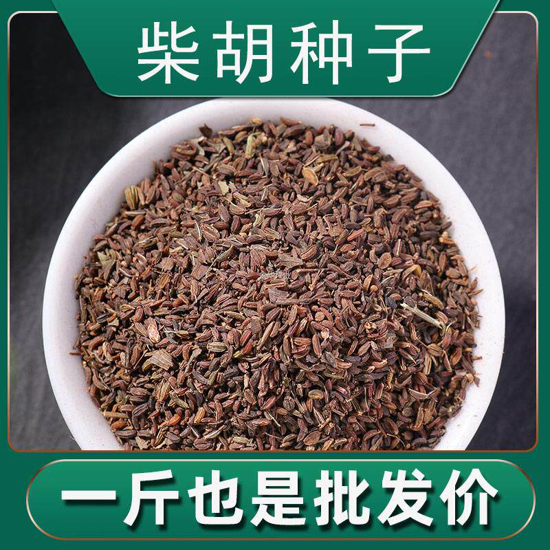 秋季柴胡黑种苗北种子材北红种植春季阳台苗药材种籽散装柴胡