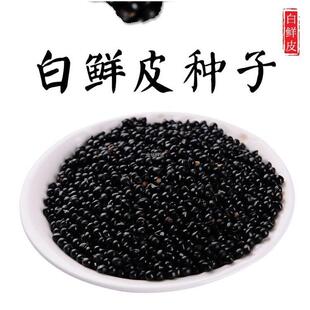 白鲜皮发芽好种播种包质量保证种子新采种子材春秋