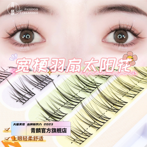 青麟细梗羽扇太阳花漫画眼