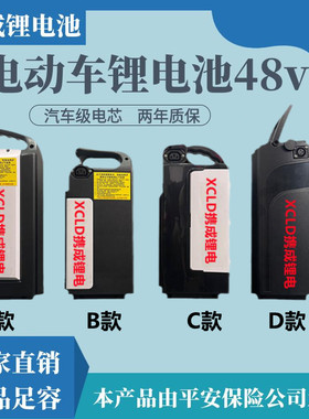 48V电动自行车锂电池10AH15AH12AH外卖送餐迷你电瓶电动锂车20ah