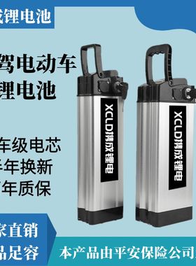 银鱼款海霸款电动车锂电池36v48v60v代驾车10ah30ah全新动力电瓶