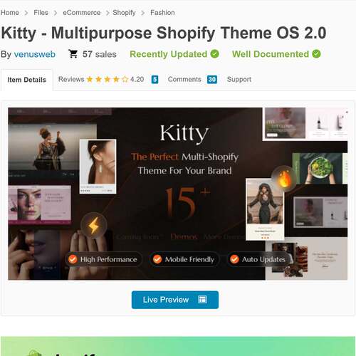 服装服饰电子产品珠宝首饰美容化妆品Kitty Shopify建站主题模版