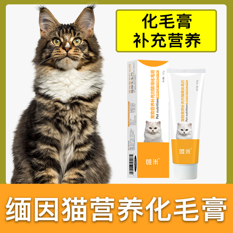 缅因化毛膏猫咪幼猫维生素