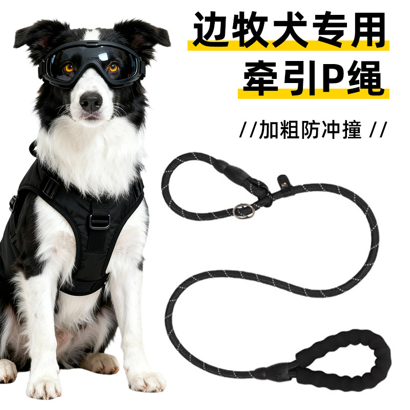 边牧专用牵引绳防爆冲赛级防挣脱P绳遛狗绳链小中大型犬训练用