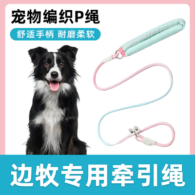边牧专用牵引绳子宠物狗狗防爆冲P链P绳狗链遛狗防挣脱大小型犬